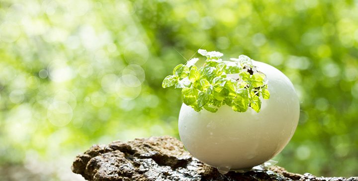 [サービス名称]B