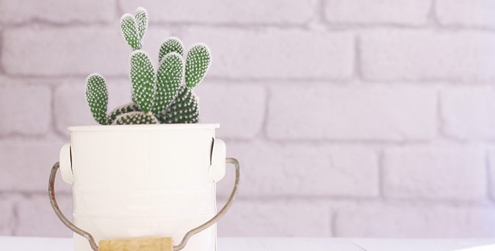 [サービス名称]②